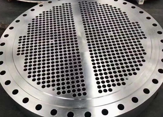 Glissement sur le gost 12820 de la bride forgé par acier au carbone Pn16 DN 100 de cou de soudure avec de l'anti huile de rouille