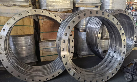 L'acier d'OEM ASTM A105carbon a forgé la surface d'huile de preuve de rouille des brides SCH80